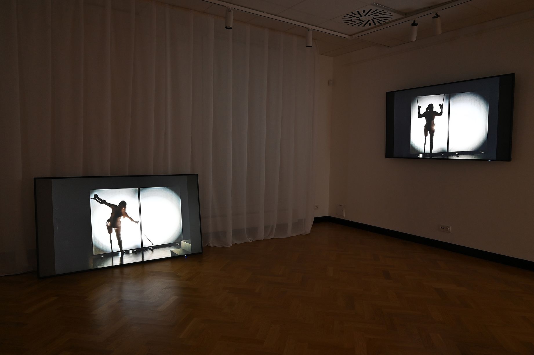 Na opartym o ścianę, dużym ekranie podłogowym  oraz wiszącym na ścianie galerii wyświetlane są kontrastowe, czarno-białe nagrania z tańczącą kobietą po amputacji lewej nogi. Jej ciemna, smukła sylwetka jest ujęta od tyłu i wyraźnie odcina się na tle jasnego, owalnego snopu światła przypominającego reflektor sceniczny.