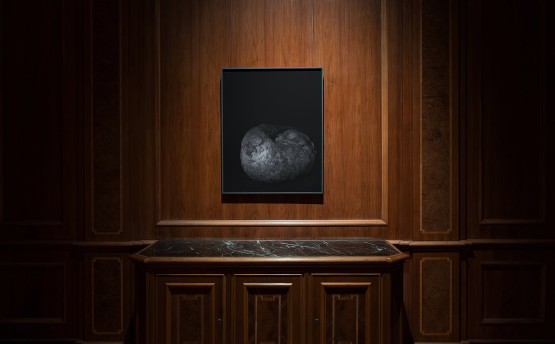 1 wystawa GABINET Anna Kędziora Galeria Fotografii pf (Sala Orzechowa)