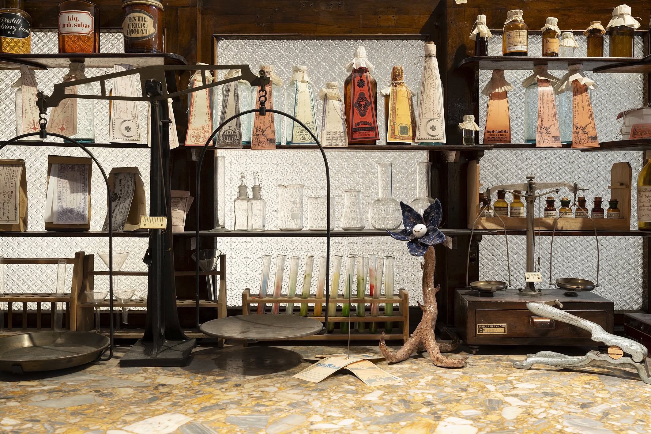 17. atlas farmakognostyczny dokumentacja (1)