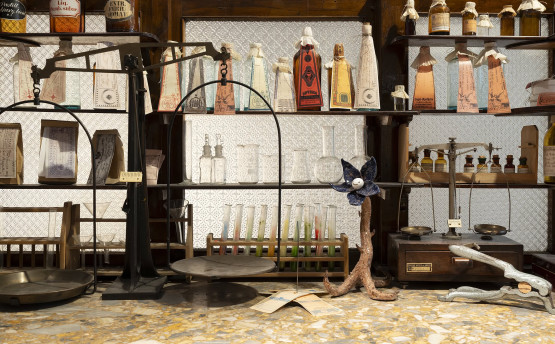 17. atlas farmakognostyczny dokumentacja (1)