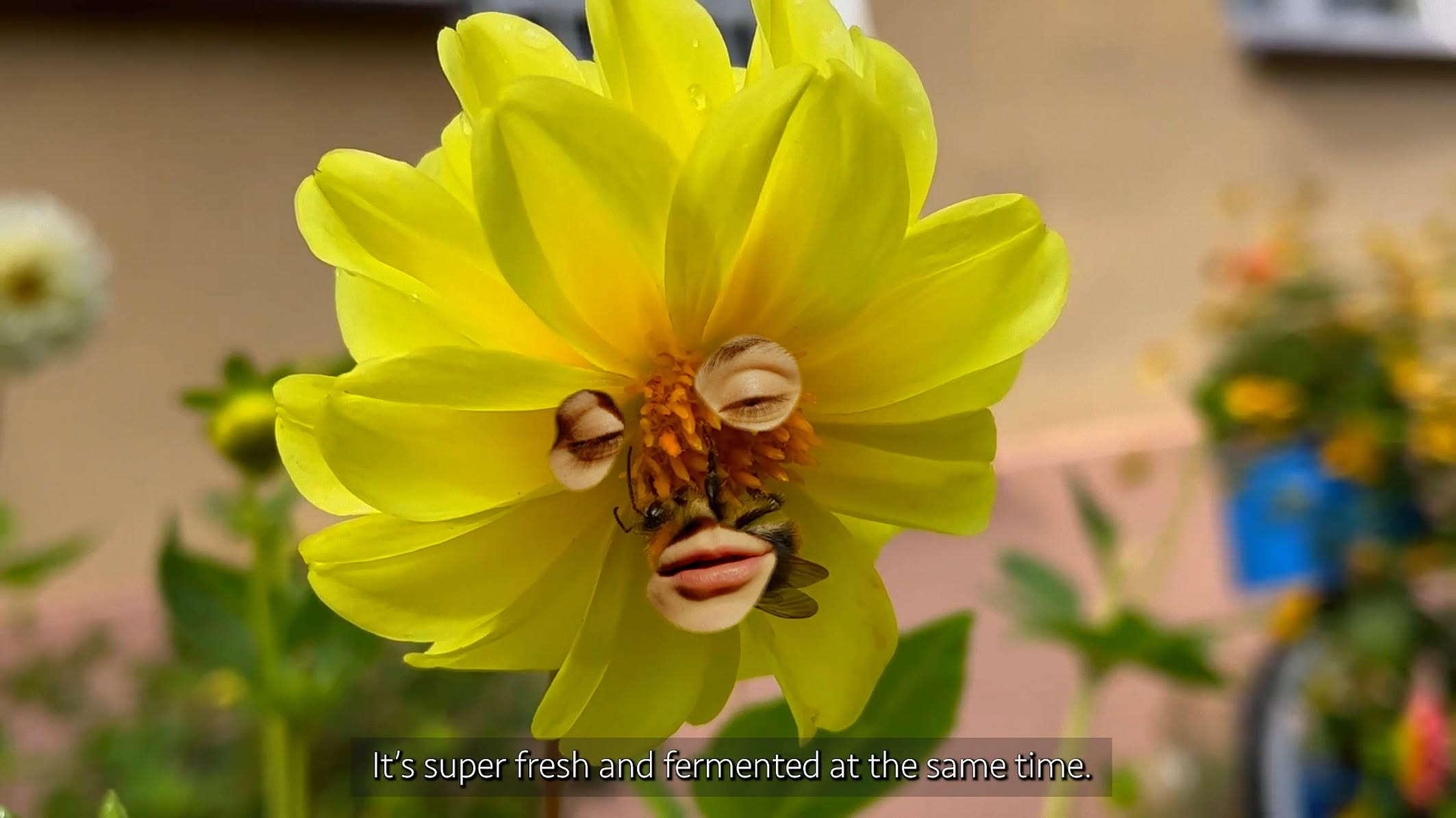 Dominika Łabądź Czego nie możemy pomyśleć , 2026, kadr filmu017