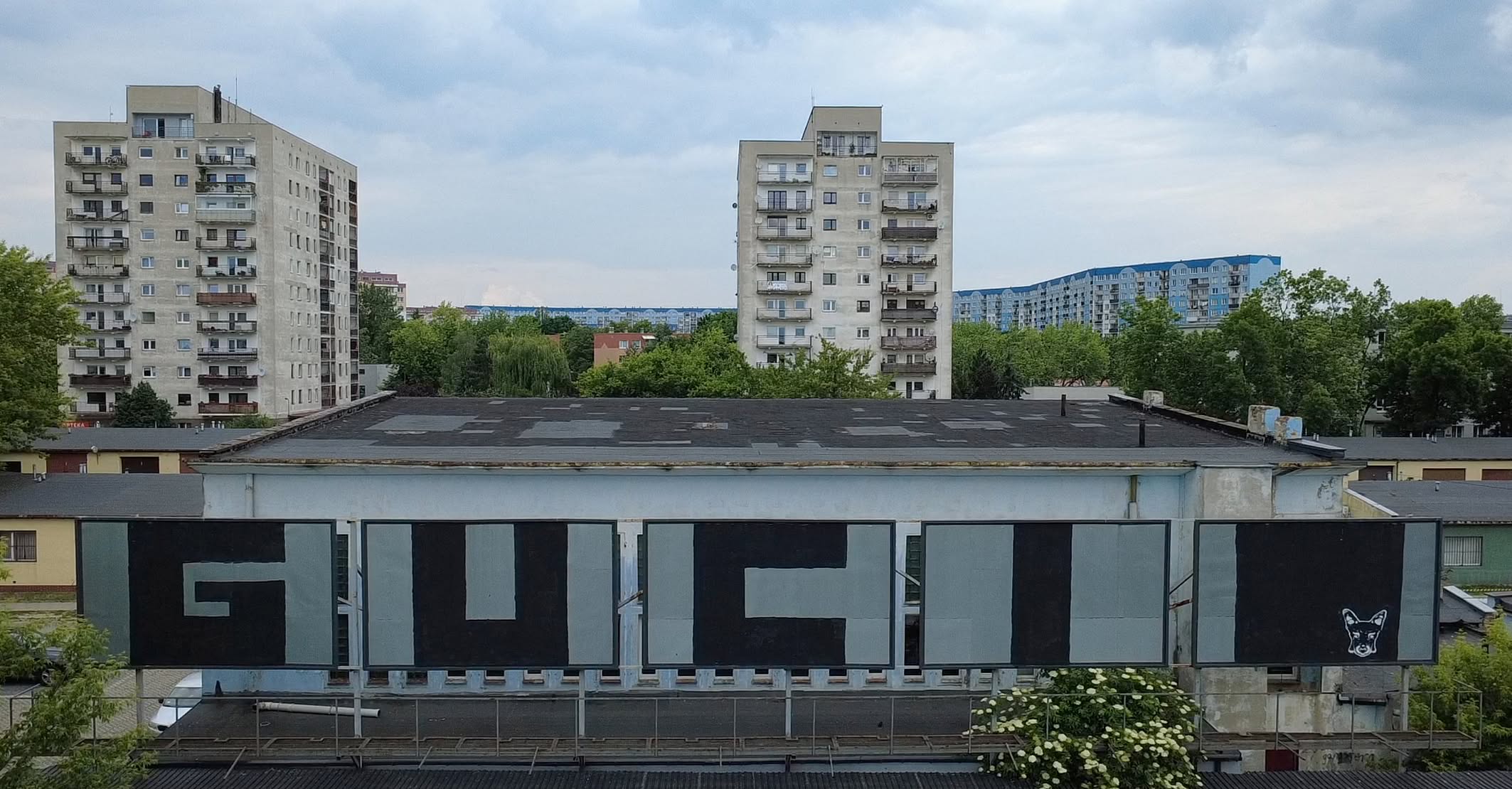 Duży czarny napis Gucio namalowany na budynku, w rogu namalowany czarny pies