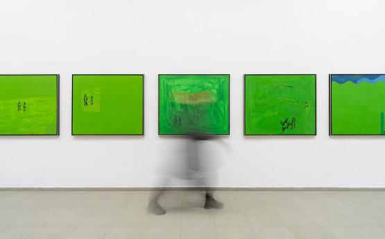 MGS FOT HAWAA7R00974