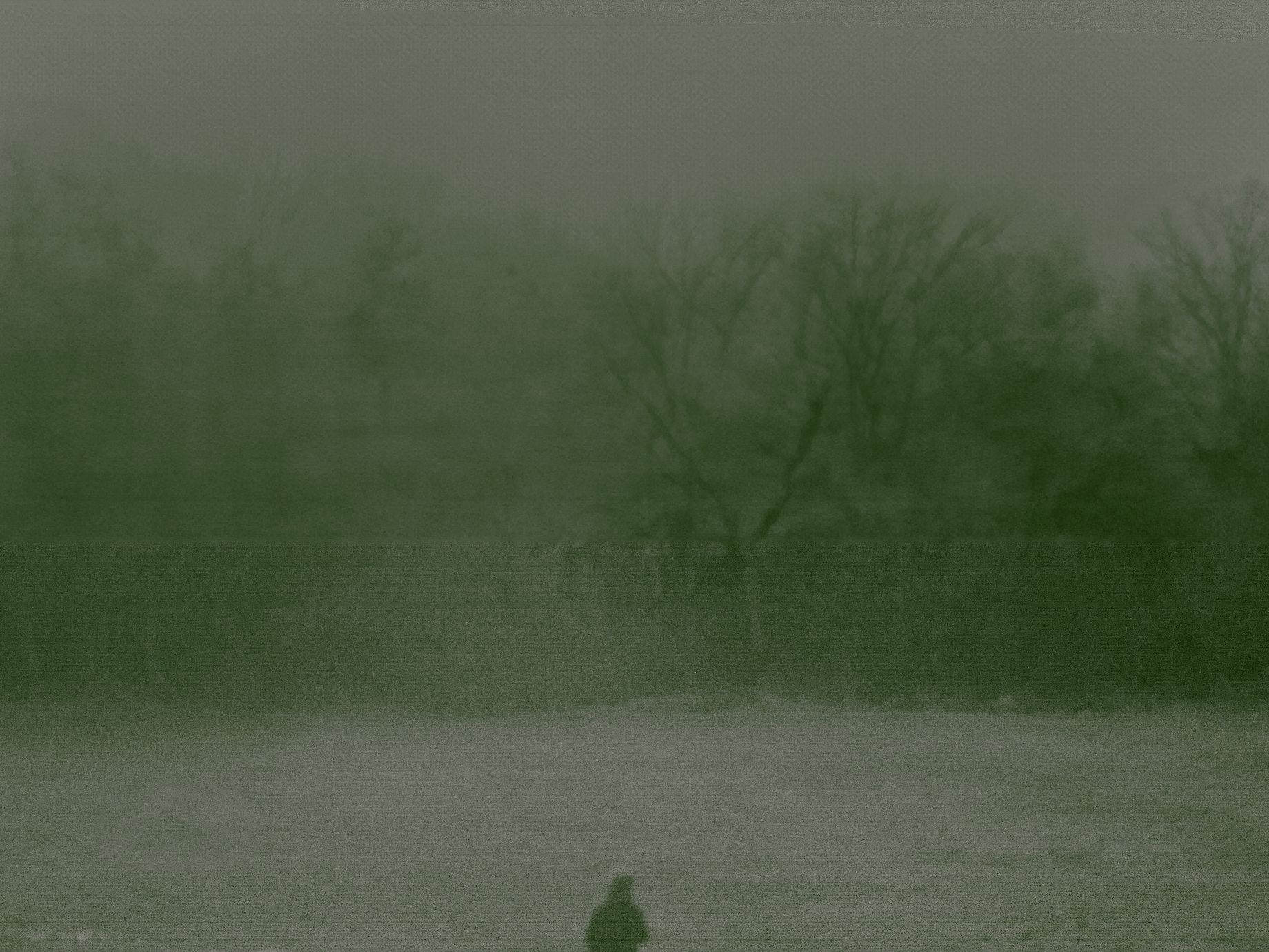 Obraz przedstawia osobę stojącą samotnie na zaśnieżonym lub pokrytym szronem terenie, prawdopodobnie w parku lub na otwartej przestrzeni, w bardzo mglisty lub zamglony dzień. Dominują stonowane, zielonkawe i szare odcienie