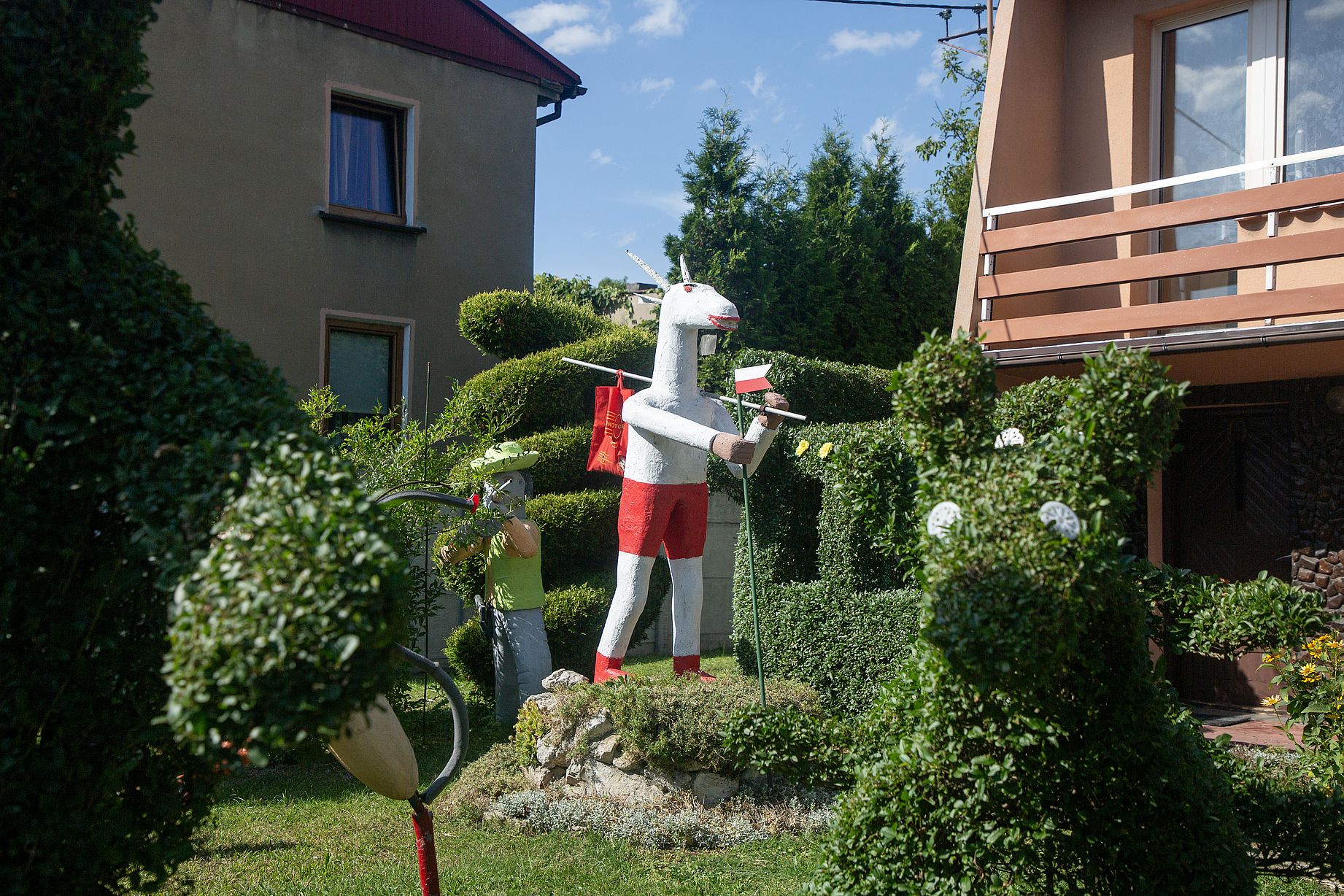 Biało czerwony koziołek matołek w ogrodzie domu jednorodzinnego