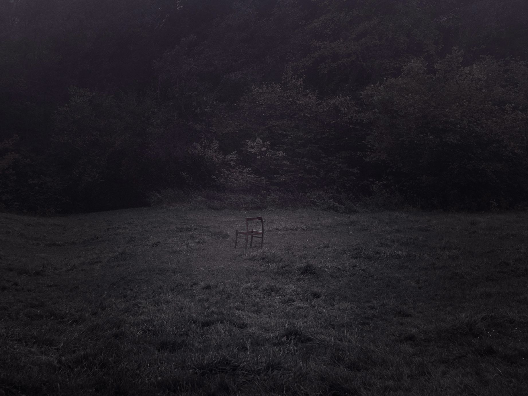 Obraz przedstawia pojedyncze, opuszczone krzesło stojące na trawiastym terenie, otoczone ciemnym, gęstym lasem lub zaroślami. Całość utrzymana jest w mrocznej, nastrojowej kolorystyce, co nadaje scenie tajemniczego i melancholijnego charakteru.